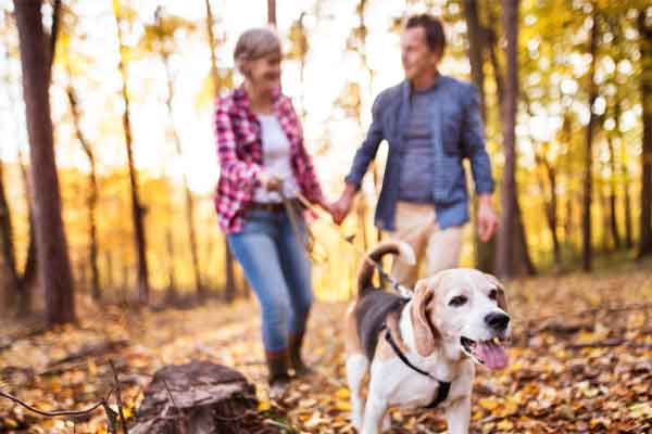 Ehepaar geht mit Hund im Wald spazieren