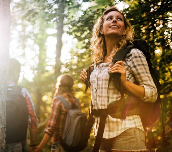 Freunde wandern in den Wäldern